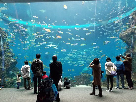 Shinagawa-akvariet